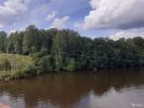 Продаю 6,5 га на первой линии реки Осуга в 200 км от МКАД (6 фотографий)